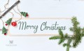 merry christmas tabliczka do sesji