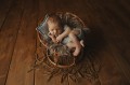 autor: Marzena Woźnica Fotografia