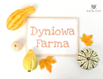 Tabliczka  szeroka Dyniowa Farma