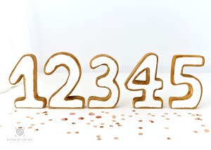 Cyfra cyferka do sesji urodzinowych / roczkowych